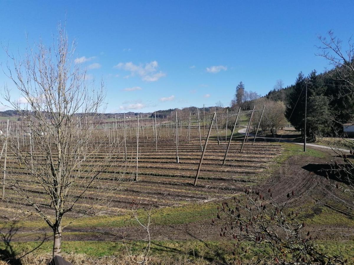 Ferienhof Hopfgärtle Müller Bodnegg Habitación foto